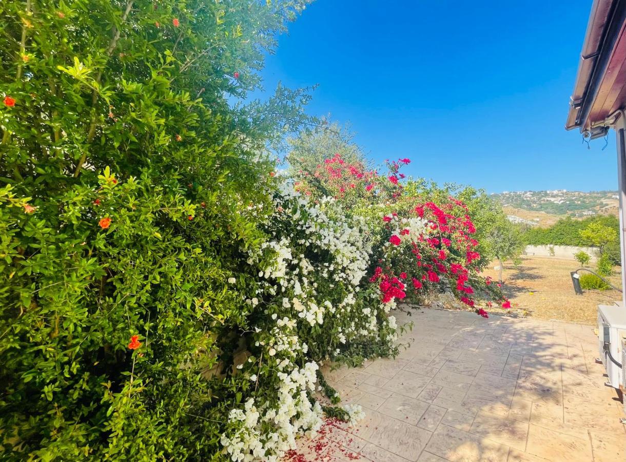 Beautiful Home Paphos Exterior foto